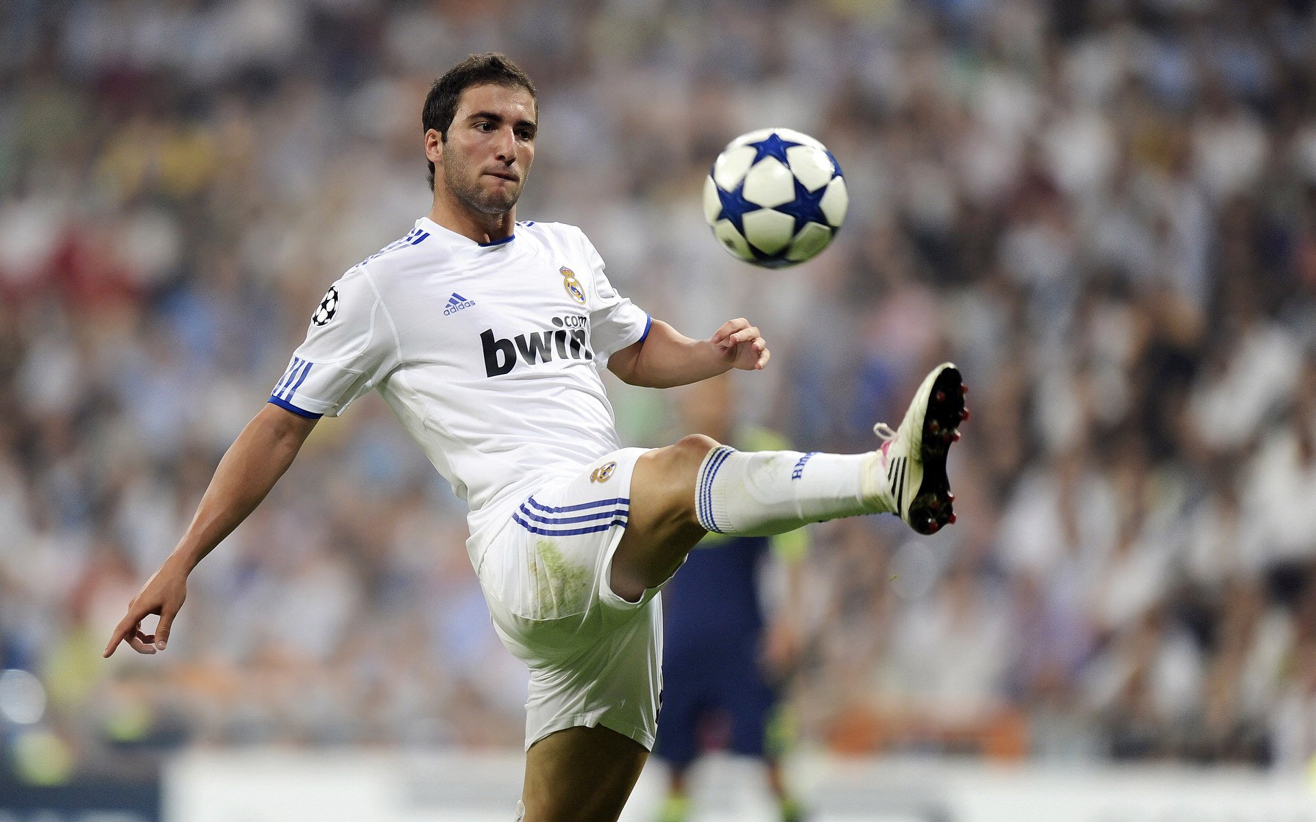 本季新纪录：刷新历史的惊艳表现，刷新了新纪录